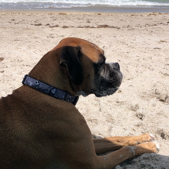 Hi guys!!! - Picture 5 of 11